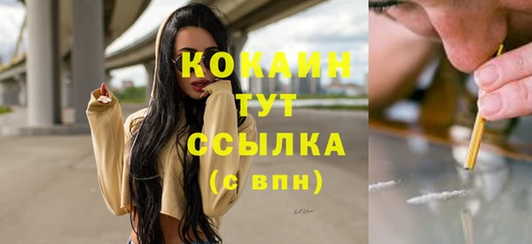 тгк Дмитров