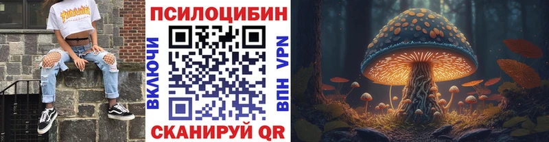 Псилоцибиновые грибы Psilocybe  omg ссылки  darknet Telegram  Яхрома 